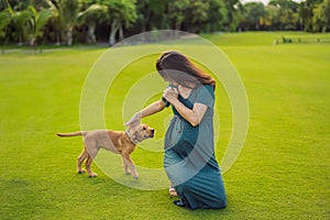 A serene and radiant pregnant woman after 40 and her dog, surrounded by nature's beauty in the park, cherishing the