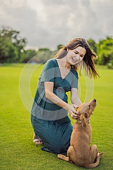 A serene and radiant pregnant woman after 40 and her dog, surrounded by nature& x27;s beauty in the park, cherishing the