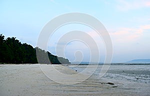 Serene Relaxing Sandy Beach Landscape with Lush Green Palm Trees with Sky at Dawn - Vijaynagar Beach, Havelock, Andaman Islands