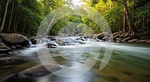 Lush Green Forest River with Smooth Water Flowing Over Rocks and Sunlight Filtering Through Trees