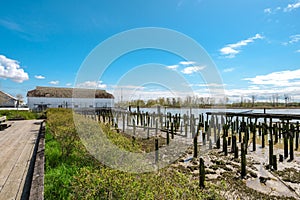 Serene riverside scene with wooden pilings and rustic building. photo