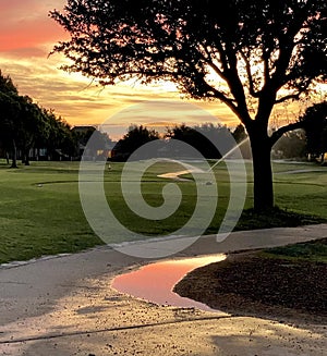 Golf course sunrise, orange water puddle