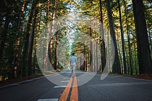 Serene scene of person in dense forest on Californian road