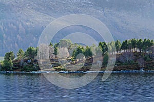 Serene sea view with forested hillside and misty mountains at dawn