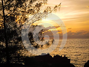 Serene start to the day on the coast of Zanzibar