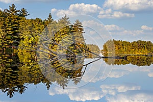 Serene summer lake landscape with reflections of sky and trees