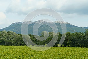 Serene Summer Landscape With a Majestic Mountain Range in the Distance photo