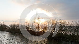 Serene sunrise over a calm lake with silhouettes of shrubs and trees against a softly lit sky, reflecting the warm hues of dawn on