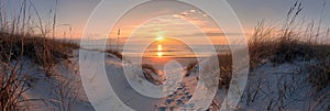 Serene sunset over a sandy beach with coastal grass