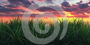 A Serene Sunset Over a Tranquil Lake