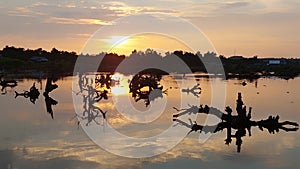 Serene Sunset over Water with Silhouetted Driftwood