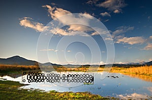 Serene swampy landscape photo