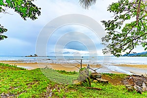 Serene tropical beach scene with overcast skies, framed by verdant foliage and a view of distant islands. High quality