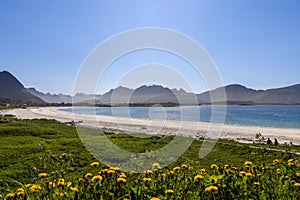 A serene view of Jusnesvika Bay Rambergstranda beach on Flakstadoya island in Lofoten with some unrecognizable people on the beach