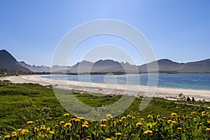 A serene view of Jusnesvika Bay Rambergstranda beach on Flakstadoya island in Lofoten with some unrecognizable people on the beach photo