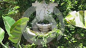 Serene water fountain in beautiful green garden on summer day