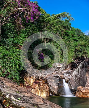 Serene Waterfall Cascading Over Rocks in Lush Green Jungle