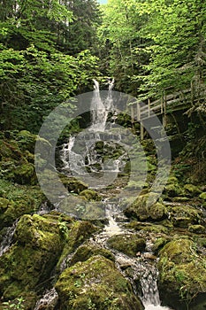 Dickson Falls, Fundy Park