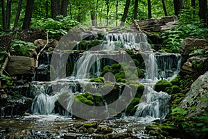 Serene Waterfall in a Lush Forest