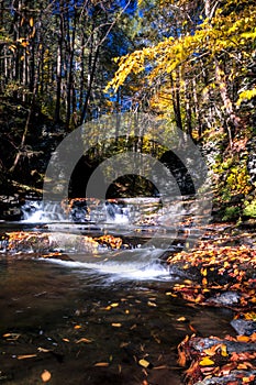 Serene waterfalls flow gently over rocks adorned with Autumn leaves