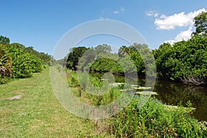 Serene waterway in a nature preserve in Sarasota Florida