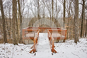 Serene Winter Bridge in Snowy Forest Preserve - Eye-Level View photo