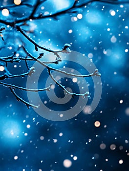 A serene winter scene featuring delicate frosted branches against a backdrop of falling snow The image evokes a sense of peace