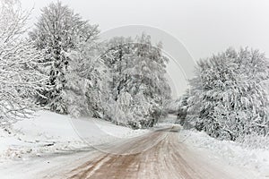 Serene winter scenery: Snowy mountain road on a cold day photo