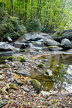 Serene Woodland Stream with Mossy Rocks in Smoky Mountains