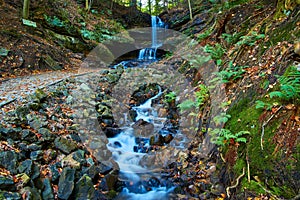 Serene Woodland Waterfall and Greenery at Horseshoe Falls, Eye-Level View