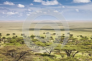 Serengeti