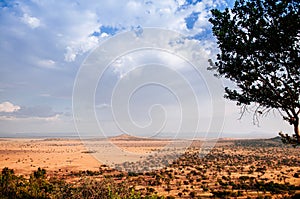 Serengeti Grumeti Reserve wildlife park grass plain and mountain hills under evening warm light and clouds sky