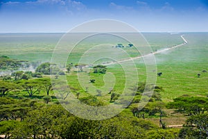 Serengeti Landscape