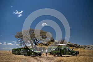 Serengeti national park