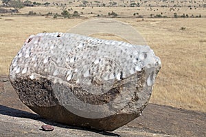 Serengeti National Park