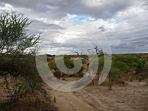 Serengeti National Park