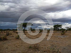 Serengeti National Park Tanzania, Africa