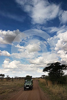 Serengeti national park views