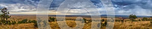 Serengeti Panorama