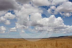 Serengeti Plains