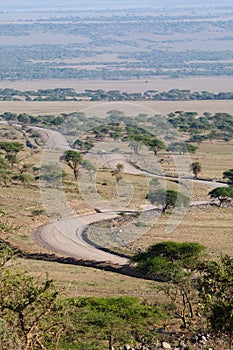 Serengeti road