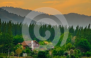 Serenity Amidst Nature: Farm House Chimney and Pine Forest Mountain Range