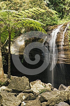 Serenity Falls in Buderim.