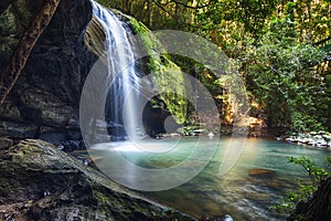 Serenity Falls at Buderim Rainforest Park