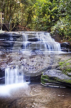 Serenity Falls at Buderim Rainforest Park