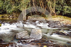 Serenity Falls at Buderim Rainforest Park
