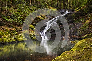 Serenity Falls at Buderim Rainforest Park