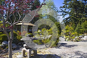 Serenity gardens at Japanese internment camp