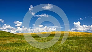 Serenity. Grass vs Sky photo