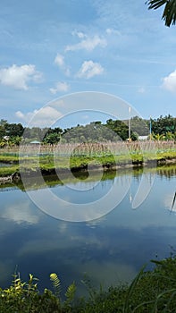 serenity harmonizes with depth